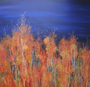 Colourfields - Summer to Autumn