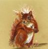 Red Squirrel
